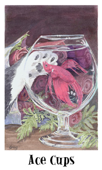 è - Cats Eye Tarot - ʥA - Ace Of Cups