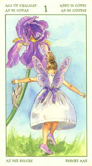 ֮ - The Spirit Of Flowers Tarot - ʥA - Ace Of Cups