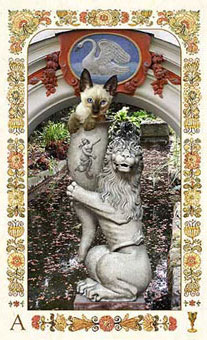 ˲è - Baroque Bohemian Cats Tarot - ʥA - Ace Of Cups