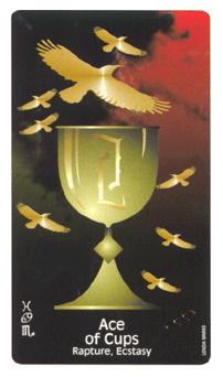 ѻħ - Crows Magick Tarot - ʥA - Ace Of Cups