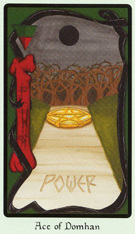  - Faery Wicca Tarot - ǮA - Ace Of Pentacles