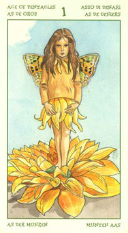 ֮ - The Spirit Of Flowers Tarot - ǮA - Ace Of Pentacles