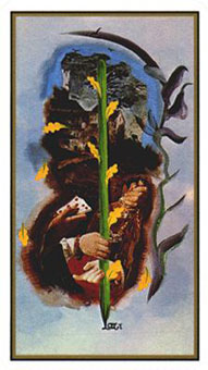 ߶ - Salvador Dali Tarot - ȨA - Ace Of Wands