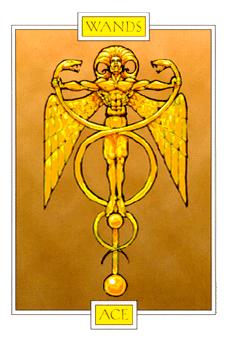  - Winged Spirit Tarot - ȨA - Ace Of Wands