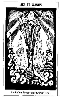 ʿ - The Hermetic Tarot - ȨA - Ace Of Wands