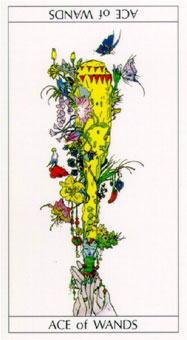 ҰϲТ - Yositaka Amano Tarot - ȨA - Ace Of Wands