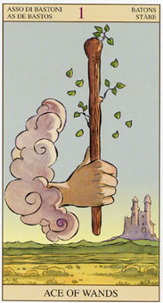 ӽΰ - Tarot of the New Vision - ȨA - Ace Of Wands