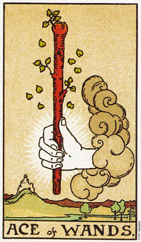 ԭʼΰ - Original Rider-Waite Tarot - ȨA - Ace Of Wands