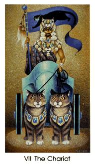 è - Cat People Tarot - ս - The Chariot