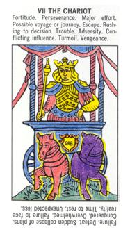 ѧ - Starter Tarot - ս - The Chariot