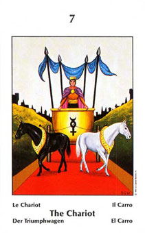 Űֿ - Barbara Walker Tarot - ս - The Chariot