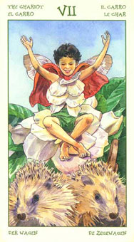 ֮ - The Spirit Of Flowers Tarot - ս - The Chariot