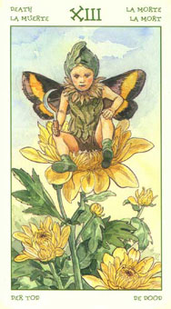 ֮ - The Spirit Of Flowers Tarot -  - Death