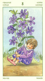 ֮ - The Spirit Of Flowers Tarot - ʥ - Eight Of Cups