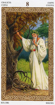 ³ - Tarot of Druids - ʥ - Eight Of Cups