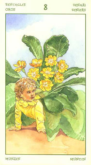 ֮ - The Spirit Of Flowers Tarot - ǮҰ - Eight Of Pentacles