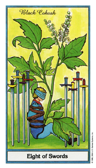 ҩ - Herbal Tarot -  - Eight Of Swords