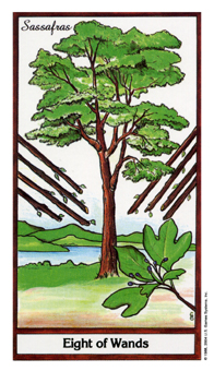 ҩ - Herbal Tarot - ȨȰ - Eight Of Wands