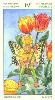 ֮ - The Spirit Of Flowers Tarot - ʵ - The Emperor