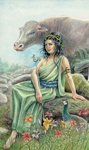 Ԥ - The Animals Divine Tarot - Ů - The Empress