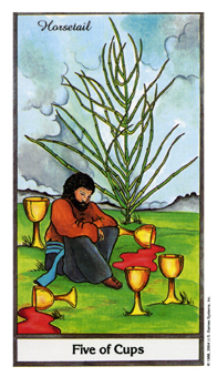 ҩ - Herbal Tarot - ʥ - Five Of Cups