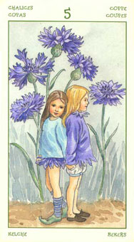 ֮ - The Spirit Of Flowers Tarot - ʥ - Five Of Cups