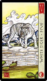 ˮ - Feng Shui Tarot -  - Five Of Swords