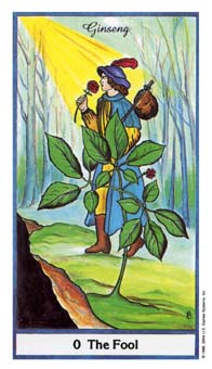 ҩ - Herbal Tarot -  - The Fool