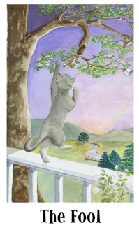 è - Cats Eye Tarot -  - The Fool