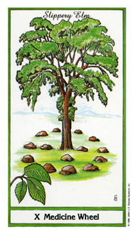 ҩ - Herbal Tarot - ֮ - Wheel Of Fortune