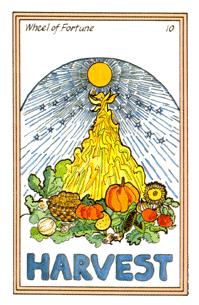 Ůҽ - Medicine Woman Tarot - ֮ - Wheel Of Fortune