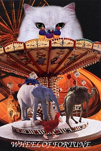  - Animal Tarot - ֮ - Wheel Of Fortune