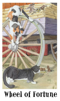 è - Cats Eye Tarot - ֮ - Wheel Of Fortune