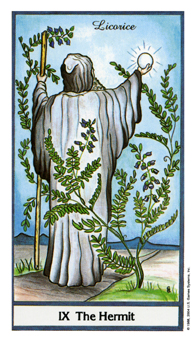 ҩ - Herbal Tarot - ʿ - The Hermit