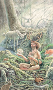 Ԥ - The Animals Divine Tarot - ʿ - The Hermit