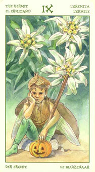 ֮ - The Spirit Of Flowers Tarot - ʿ - The Hermit