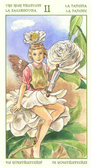 ֮ - The Spirit Of Flowers Tarot - Ů˾ - The High Priestess