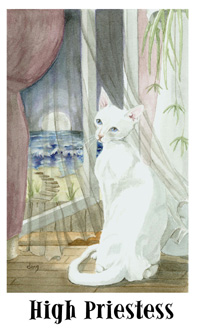 è - Cats Eye Tarot - Ů˾ - The High Priestess