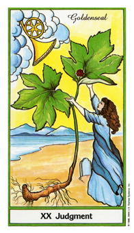 ҩ - Herbal Tarot -  - Judgement