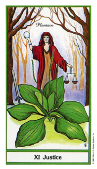 ҩ - Herbal Tarot -  - Justice