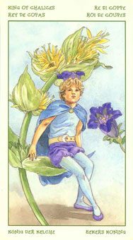 ֮ - The Spirit Of Flowers Tarot - ʥ - King Of Cups