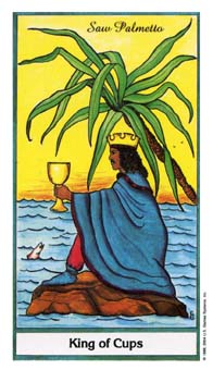 ҩ - Herbal Tarot - ʥ - King Of Cups