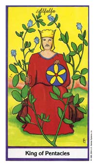 ҩ - Herbal Tarot - Ǯҹ - King Of Pentacles