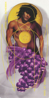 ǵﰲ - Adrian Tarot - Ǯҹ - King Of Pentacles