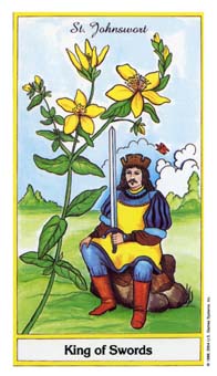 ҩ - Herbal Tarot -  - King Of Swords