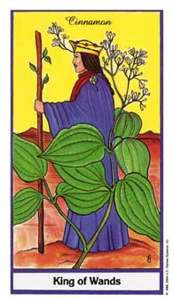 ҩ - Herbal Tarot - Ȩȹ - King Of Wands