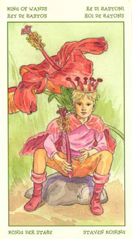 ֮ - The Spirit Of Flowers Tarot - Ȩȹ - King Of Wands