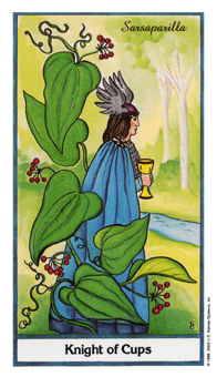 ҩ - Herbal Tarot - ʥʿ - Knight Of Cups