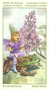 ֮ - The Spirit Of Flowers Tarot - ʥʿ - Knight Of Cups