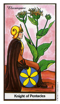 ҩ - Herbal Tarot - Ǯʿ - Knight Of Pentacles